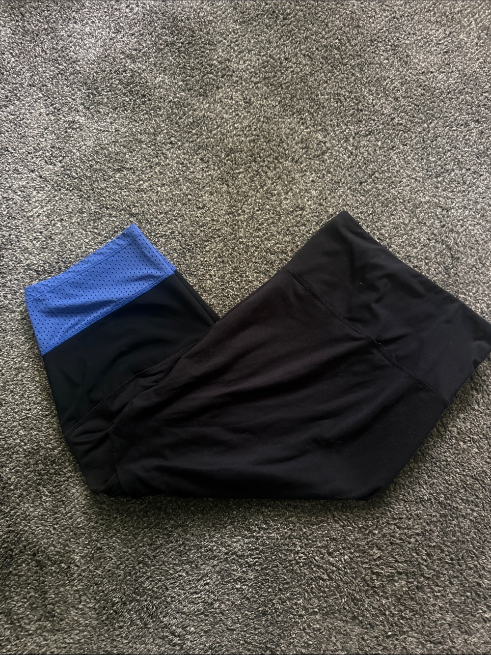 Livi Active Lane Bryant Athletic Bottoms